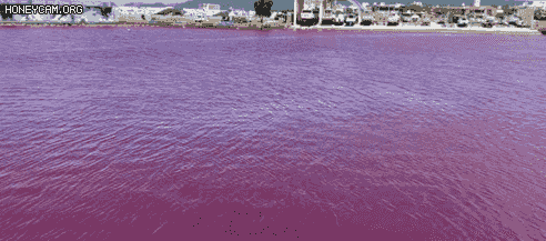 27일 오키나와 나고시 오리온맥주공장에서 냉각수 유출사고가 발생해 인근 바다가 붉게 물들었다. /오키나와타임스 트위터