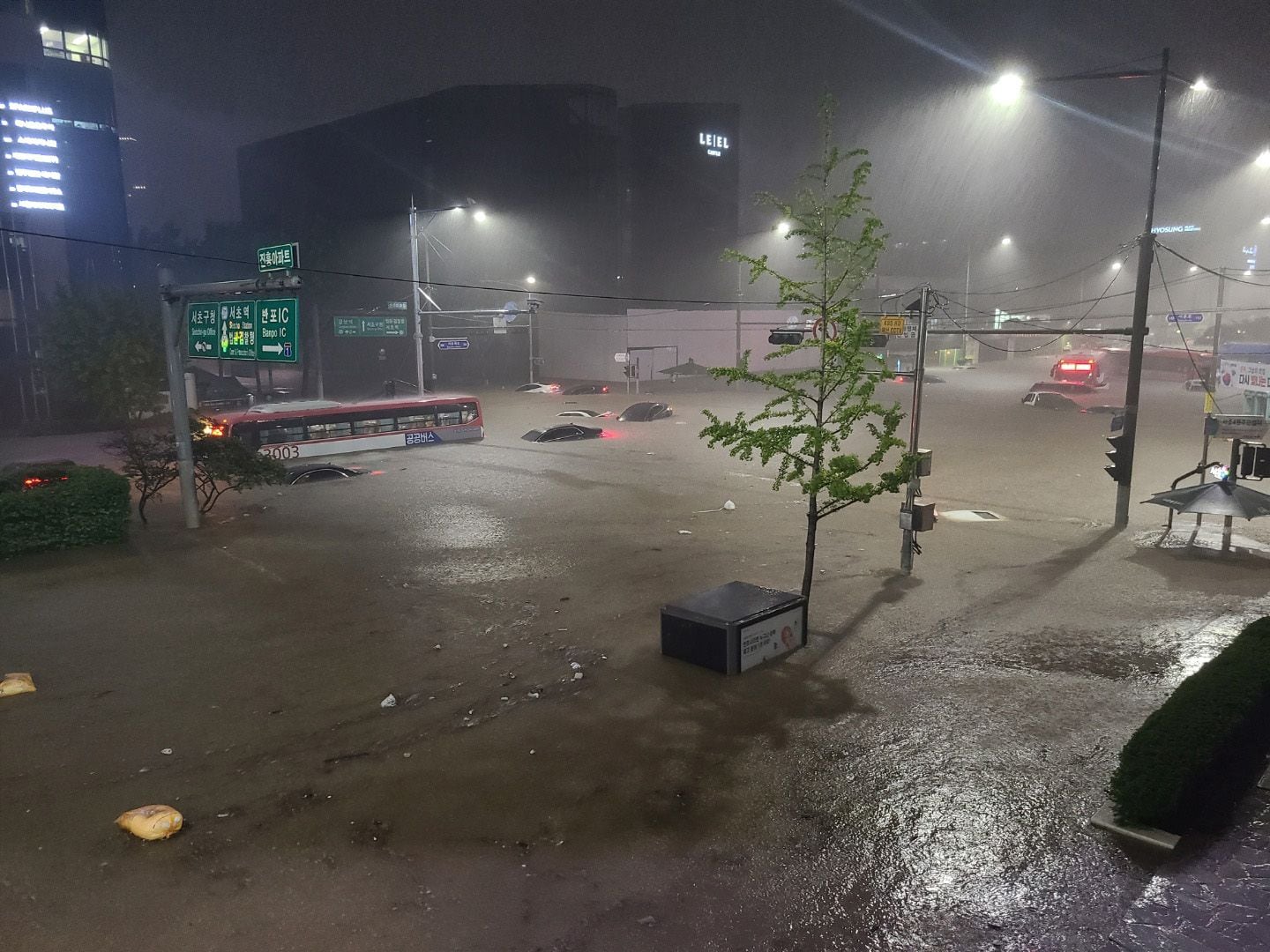 8일 서울 서초구 진흥아파트 인근 도로가 침수돼 차량이 물에 잠겨 있다. /뉴스1