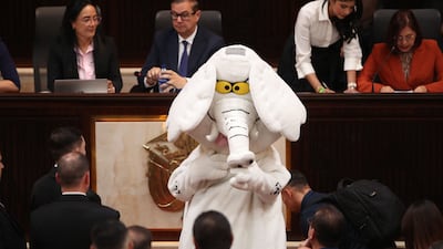 콜롬비아 상원의원이 된 ‘하얀 코끼리’