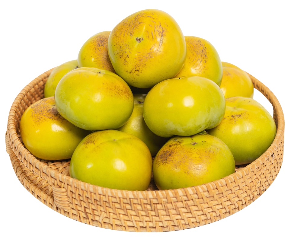 폰테크 달인 – 꼭 배처럼 과즙 넘쳐 온라인 휩쓴 ‘태추단감’, 1kg 최저 8900원 초특가