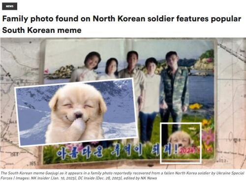러시아에서 사망한 북한군의 유류품에서 한국 밈 '개죽이'가 합성된 가족사진이 발견됐다. /NK뉴스