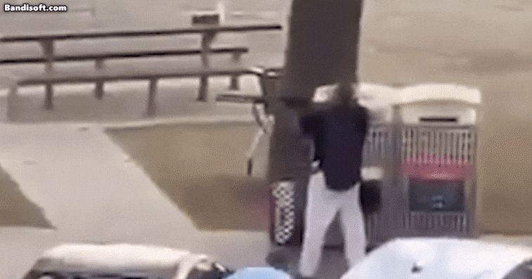 본다이 비치 총격 장면 관련 이미지