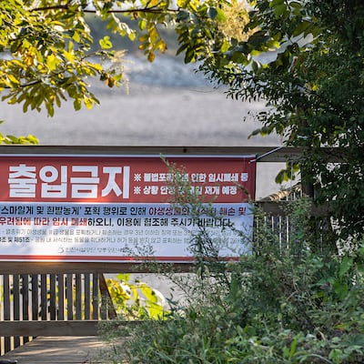 서해안에 난데없는 ‘도둑게’잡이 나타났어요