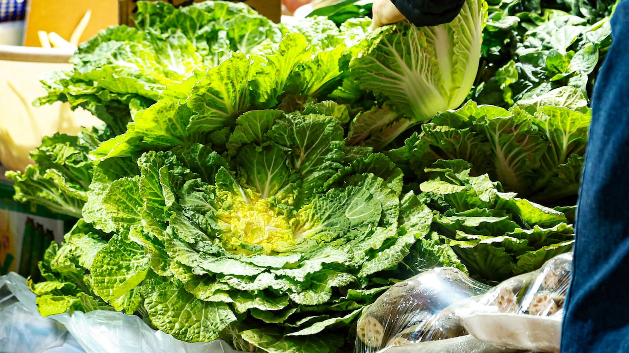 '두바이 쫀득 쿠키'(두쫀쿠)에 이어 '봄동 비빔밥'이 인기를 끌면서 봄 제철 채소인 봄동 가격이 한 달 새 30% 가까이 오른 것으로 나타났다. /연합뉴스