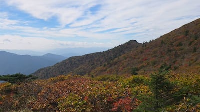 설악산에 올가을 첫 단풍...작년보다 사흘 빨라