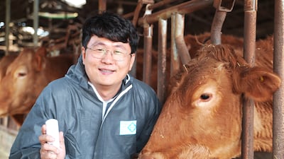 ์ ์ธ๊ณ ๊ณจ์นซ๊ฑฐ๋ฆฌ ์ โ๋ฐฉ๊ทโ, ํ๊ตญ ์คํํธ์
์ด ํด๋ฒ ์ฐพ์๋ค