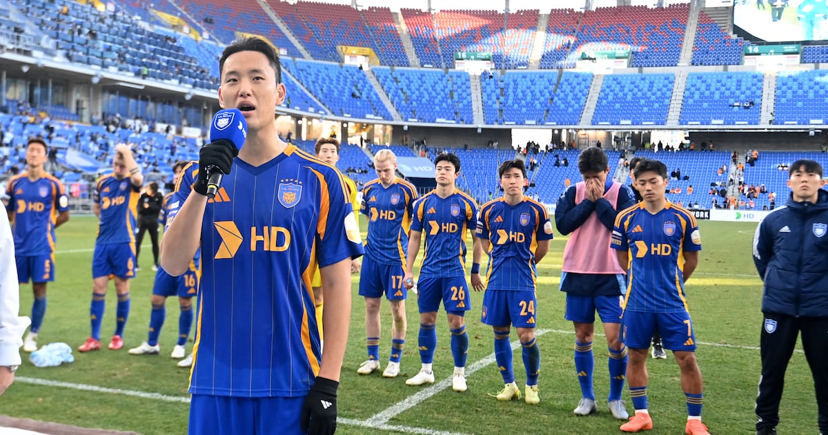 조선일보 보도 이미지