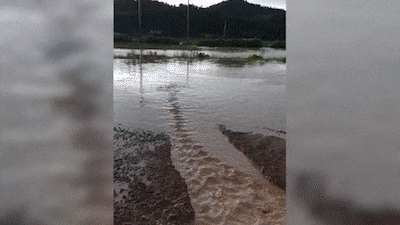 Southern Korea Braces for 200mm Rain from Typhoon Moisture
