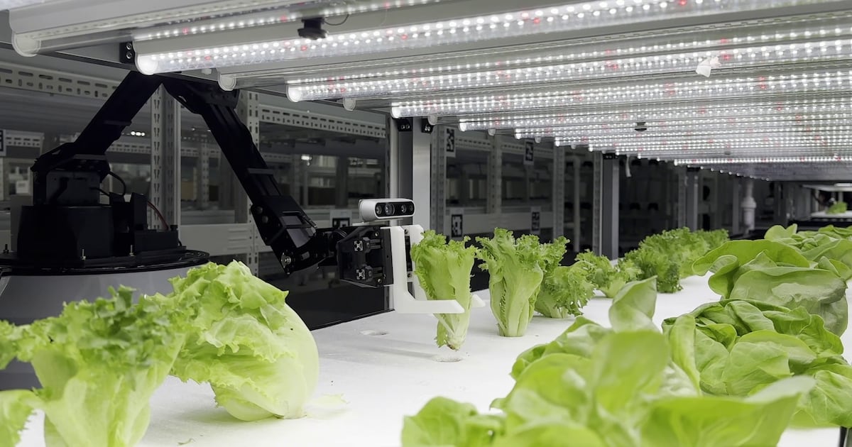 딸기 따는 로봇, AI 내시경, 신경계 질환자 재활 기기.. 올해 빛난 스타... - 뉴스 썸네일 이미지