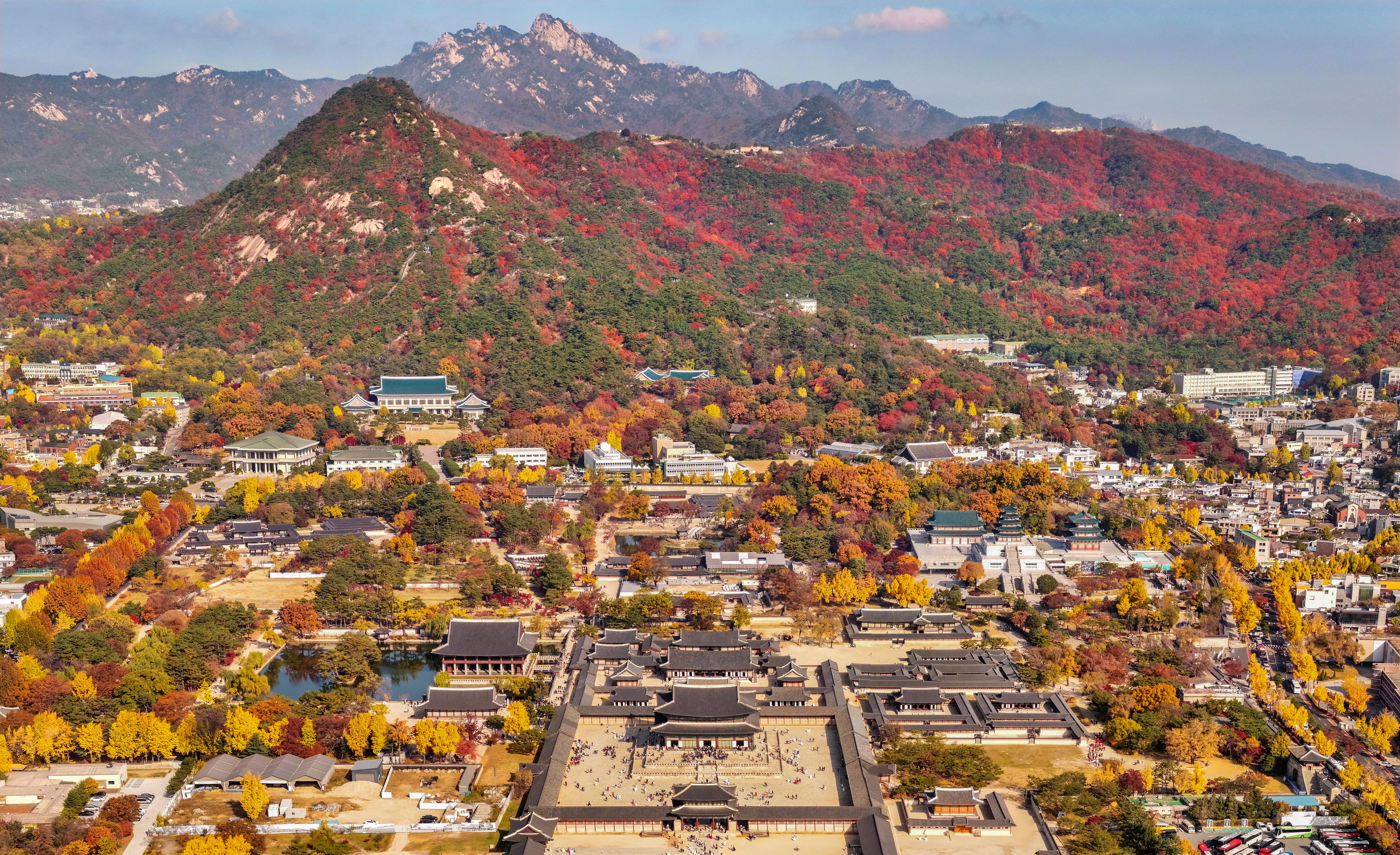 서울 광화문 광장에서 드론을 띄워 담아낸 풍경. 2025년 11월 14일 /장련성 기자