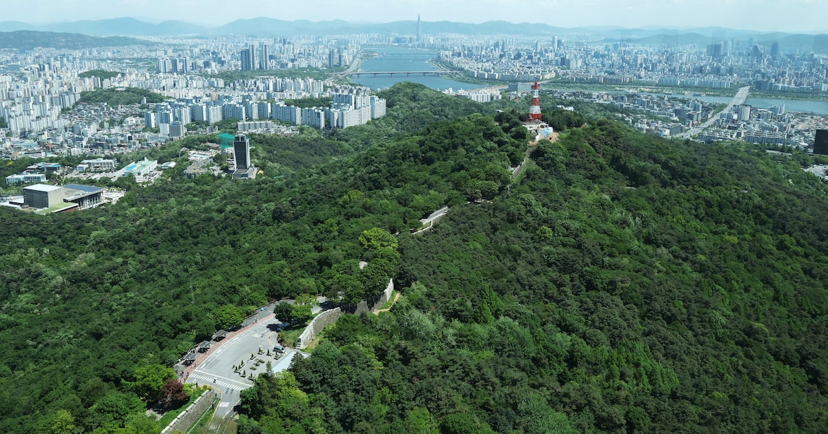 Missing American man found alive at Namsan after 15-hour search in Seoul