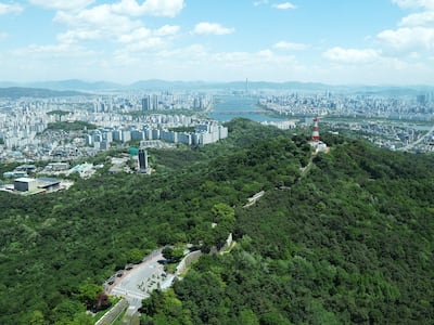 남산서 흉기 지닌 40대 미국인 실종… “우울증 앓고 있어 자해하려”