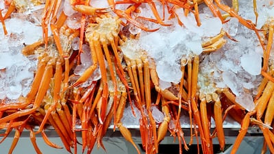 경주 감포시장 경유해 포항 죽도시장까지… 배 터지는 ‘포항 미식회’