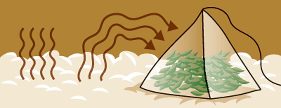 일러스트=백형선