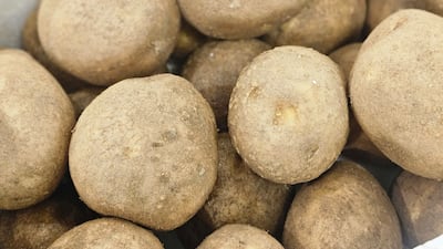 올해 첫 수확한 평창 두백감자, 3kg 한 박스 1만2000원 특별 공동구매