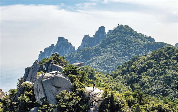 ¿µ»ó¹Ìµð¾î
µµºÀ»ê Àü°æ. µµºÀ»ê Á¤»ó ºÎ±Ù¿¡´Â È·ÁÇÑ ¸ð¾çÀÇ ¹ÙÀ§ ºÀ¿ì¸®°¡ ´Ã¾î¼ ÀÖ¾î¿ä.