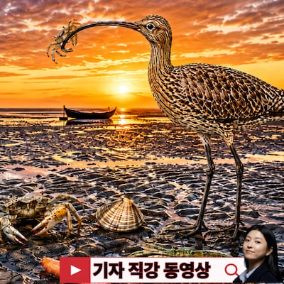 세계에서 가장 찰진 진흙 K 갯벌!
