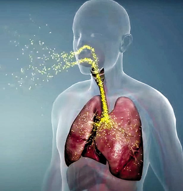 초미세 먼지보다 입자가 작은 조리 흄은 기관지를 통해 우리 몸안으로 들어와 폐포를 거친다. 이후 혈액을 타고 각 폐의 신경 조직으로 퍼지면서 염증이 쌓이게 돼 암으로 이어진다.