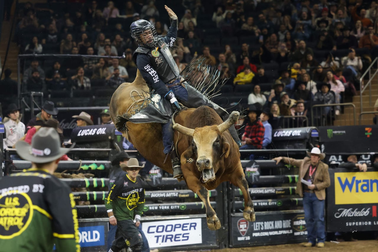 더 한장] 아찔한 황소 타기, 8초만 버텨라, image size:1280x854