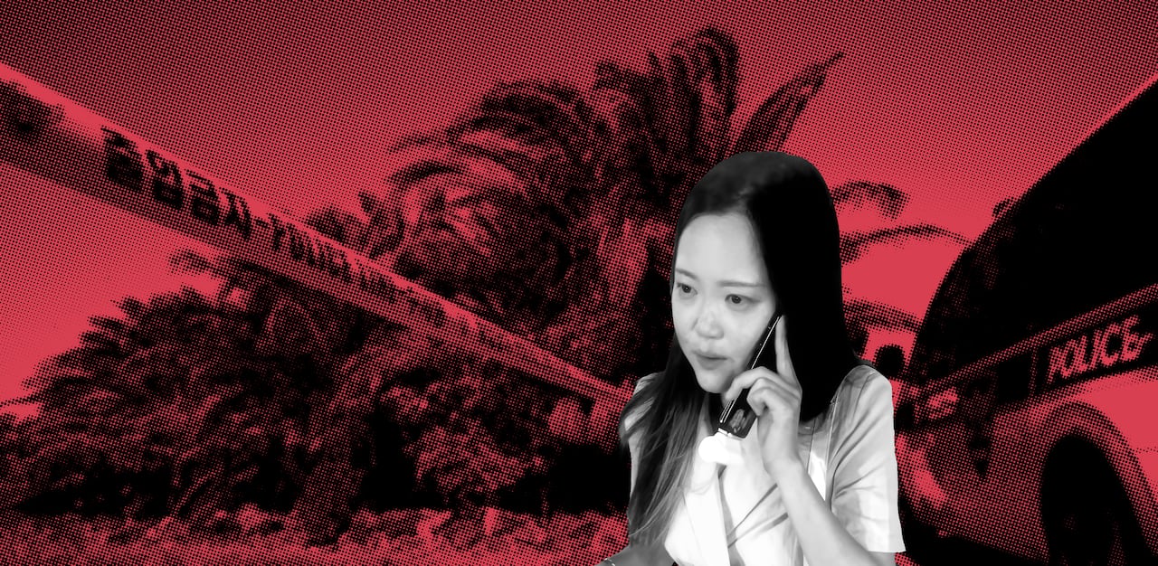 /그래픽=조선디자인랩, 사진=뉴시스