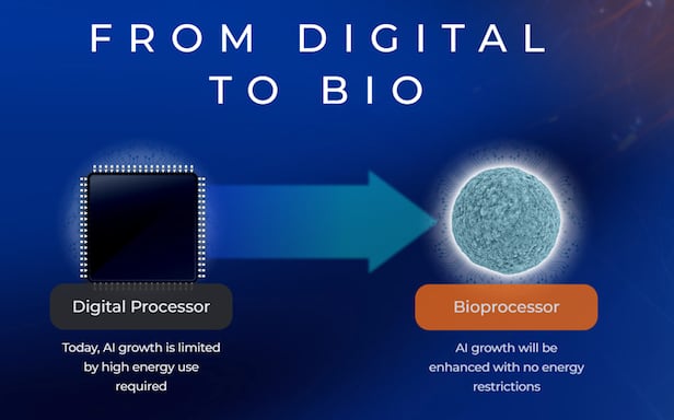 스위스 비베에 있는 생명공학 스타트업 ‘파이널스파크(FinalSpark)’. 바이오컴퓨팅을 연구하는 곳이다. 사진은 홈페이지 중 일부. /FinalSpark
