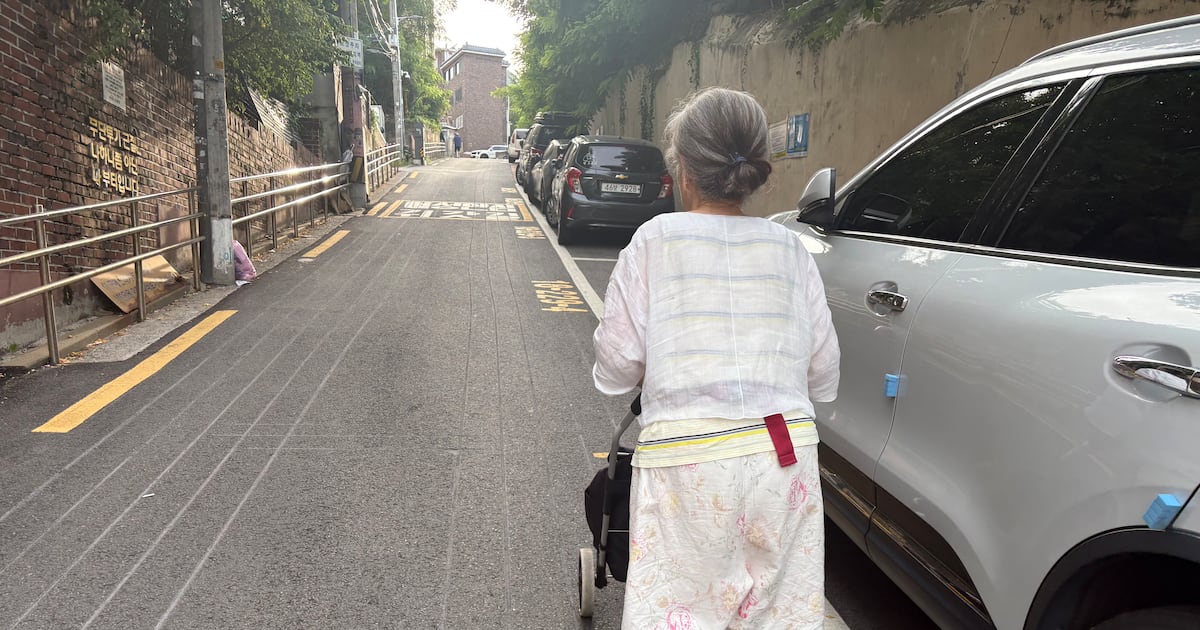 마트 없는 ‘식품 사막’… 폭염 뚫고 장 보러 2시간 걷는 취약계층