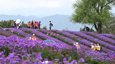 고향 가는 길, 전국 곳곳서 축제 즐겨보세요