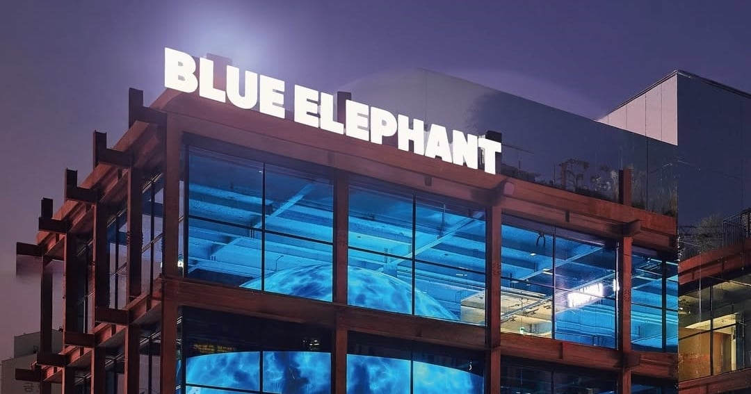 블루엘리펀트 관련 조선일보 보도 이미지