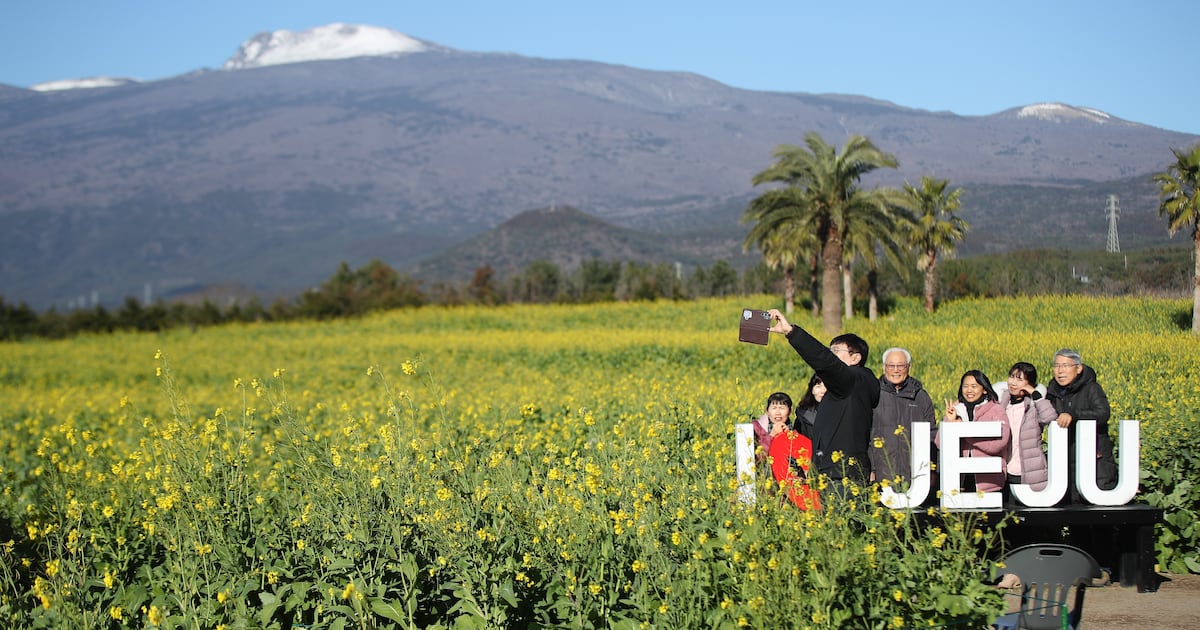 제주 여행 숙박예약, '온라인 여행사'가 대세 - 뉴스 썸네일 이미지