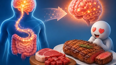 “단백질 부족하면 왜 고기가 당길까”…IBS, 장-뇌 회로 원리 규명