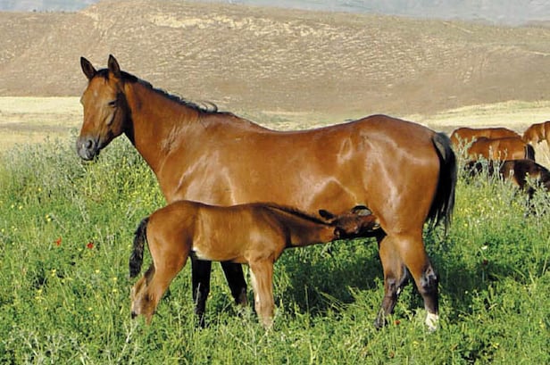 /���׽���