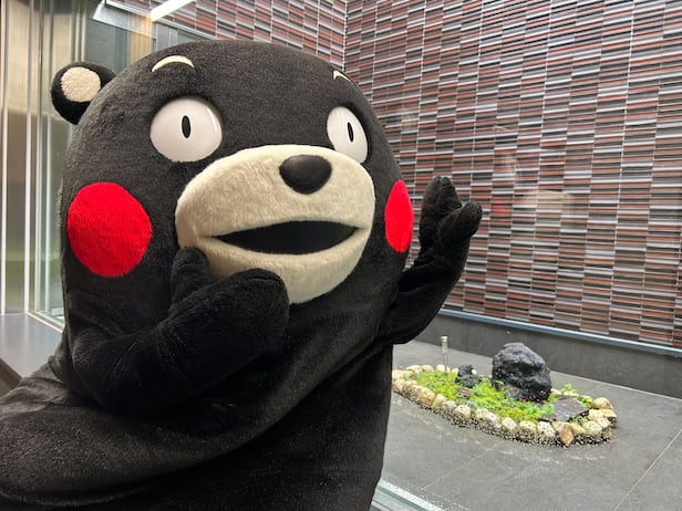 구마모토현 캐릭터 구마몬 /구마모토현