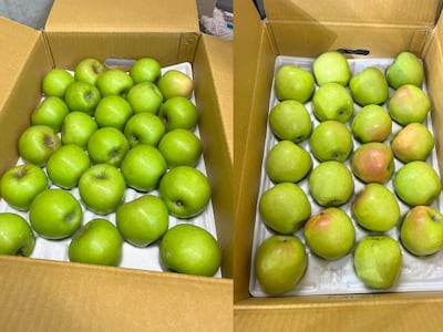 지금 가장 맛있는 과일은 아오리 사과, 5kg 한 상자 4만원대 초특가