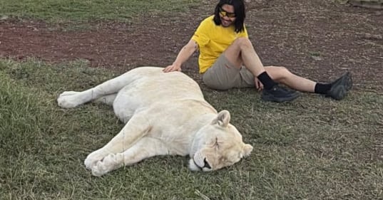 노홍철 사자 학대 논란 떴던데 약 먹인 게 아니라 그냥 낮잠 잔 거래;;