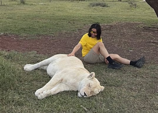 Ro Hong-chul Aslan Suistimal İddialarını Reddetti: Hayvan Uyuyordu