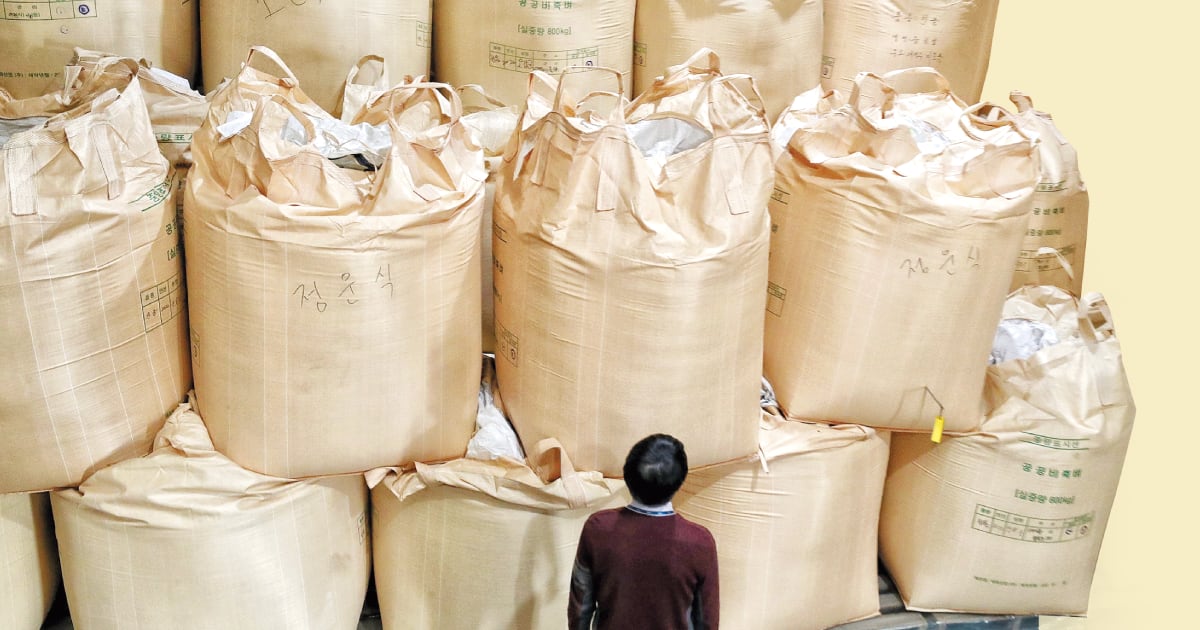 South Korea faces backlash over soaring rice prices despite government ...