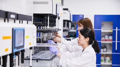 3대 성장축 본격 가동… 사업 성과 가시화