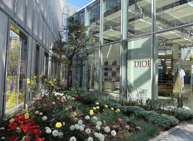 디올 성수점의 정원. 디자이너 디올이 사랑했던 장미, 라벤더 등 원예종과 소나무, 모란, 작약 등 한국 식물들을 함께 심었다./조경설계 서안