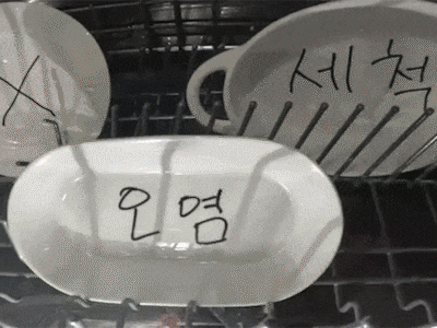 설치 필요 없는 식기세척기, 30만원대 초특가 공동구매
