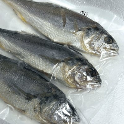 밥 한 공기 뚝딱, 흑산도에서 잡은 참조기인데 1마리 겨우 3300원