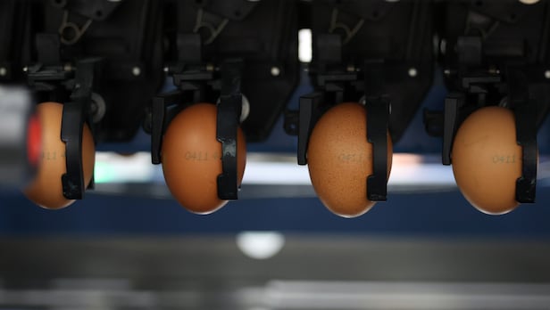 태국산 신선란 난각이 진행되고 있다.<BR>/뉴시스