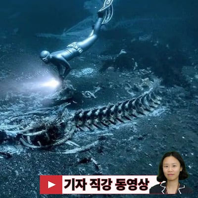 인도양 깊은 곳에 길이 1200km 초거대 ‘고래 무덤’ 발견!