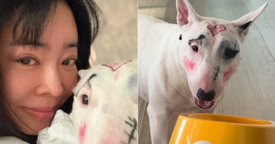 Lee Hye-young's Dog Makeup Sparks Online Debate