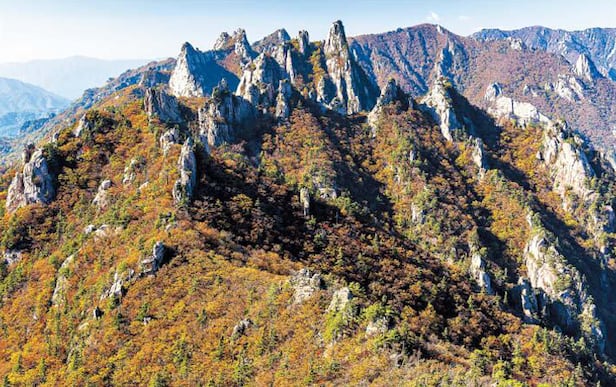 ������ ���� ���츮���� ġ���� ���ǻ� ����ɼ��Դϴ�. /�ѱ���������