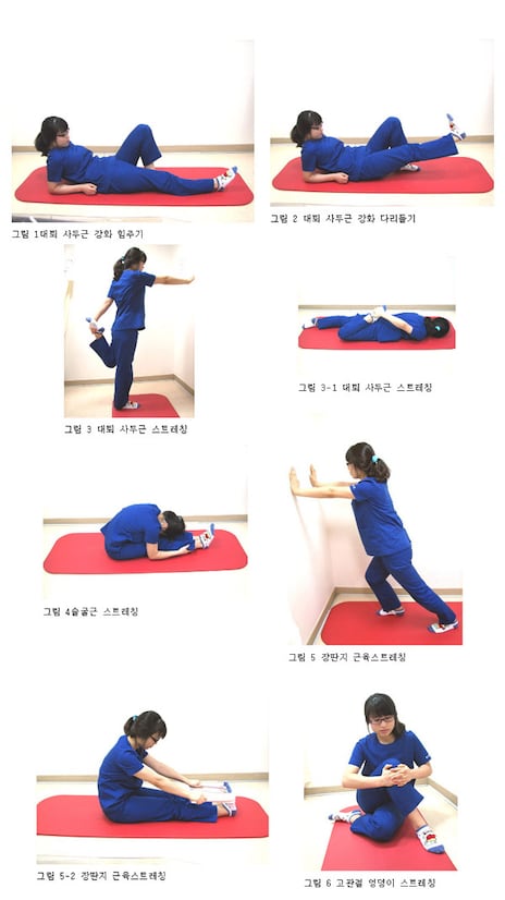 https://www.chosun.com/resizer/v2/CVZBMVDSLMNQG67X3BVVE5LGAE.jpg?auth=2c7adb94d75928930a704279c0e333d79d1e98a94384249ad206c22bef4c62fe&width=464