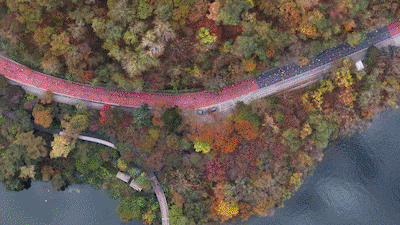 Chuncheon Marathon Marks 80th with Record 22,259 Participants