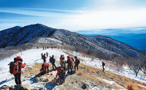 ���� 1492m ���츮�� ã�� ���ఴ���� ������ ���ٱ⸦ �ٶ󺸰� �־��. /�����Ϻ� DB