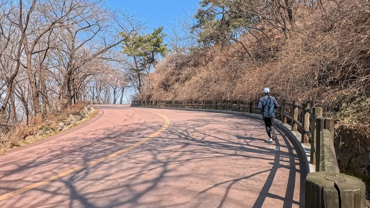 남산 북측순환로에서 업힐 훈련을 하는 모습. /사진=채민기 기자