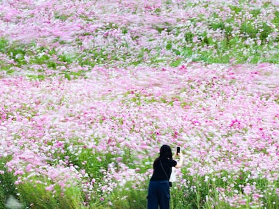 이번 주 대체로 맑지만 아침엔 쌀쌀… 내륙 10도 안팎, 강원 산지엔 얼음도