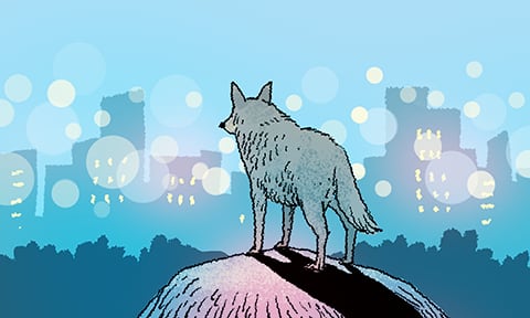 ÀÏ·¯½ºÆ®=ÀÌö¿ø